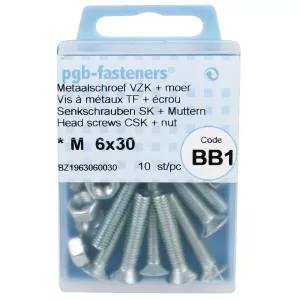 Försänkt Huvud Skruv M6X30 10St Din965