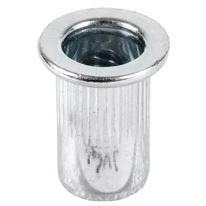 Blindnitmutter Stål M6 25St