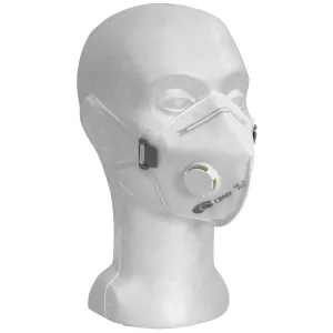 Dammfiltermasker Ffp2 12St