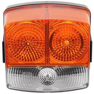 Positionsljus Vänster Ih Db 3226119R1