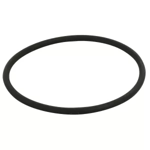 O-Ring Cih 3230854R1