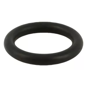 O-Ring 614602550