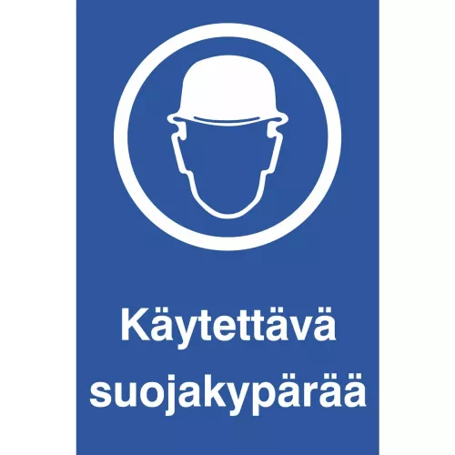 Skylt Alueella Tallentava Kameravalvonta 200X300