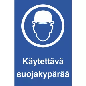 Skylt Alueella Tallentava Kameravalvonta 200X300