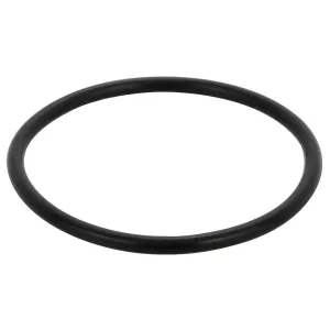 Spindelbult O-Ring Mf 3009744