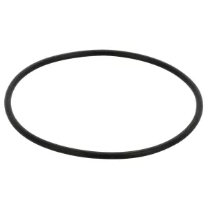 Spindelbult O-Ring Mf 371153