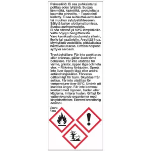 Cockpit Spray 270Ml Car-Evi