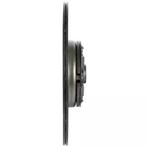 Drivlamell 302Mm Fjädrat Centrum 21Z