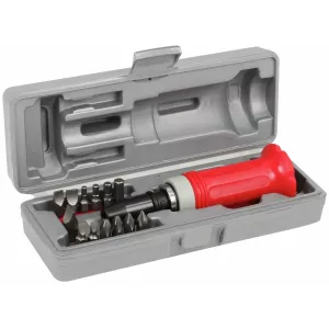 Slagskruvmejsel + 13 Bits