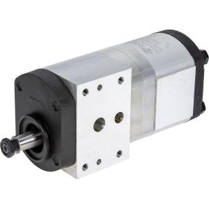 Hydraulpump Mf 3382280M1 19+10Cc
