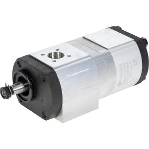 Hydraulpump Mf 3382280M1 19+10Cc