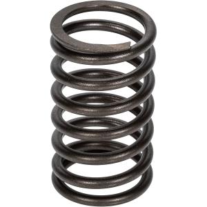 Ventilfjäder Yttre Insug / Avgas Valmet V836117910
