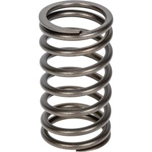 Ventilfjäder Insug / Avgas Valmet V836646380