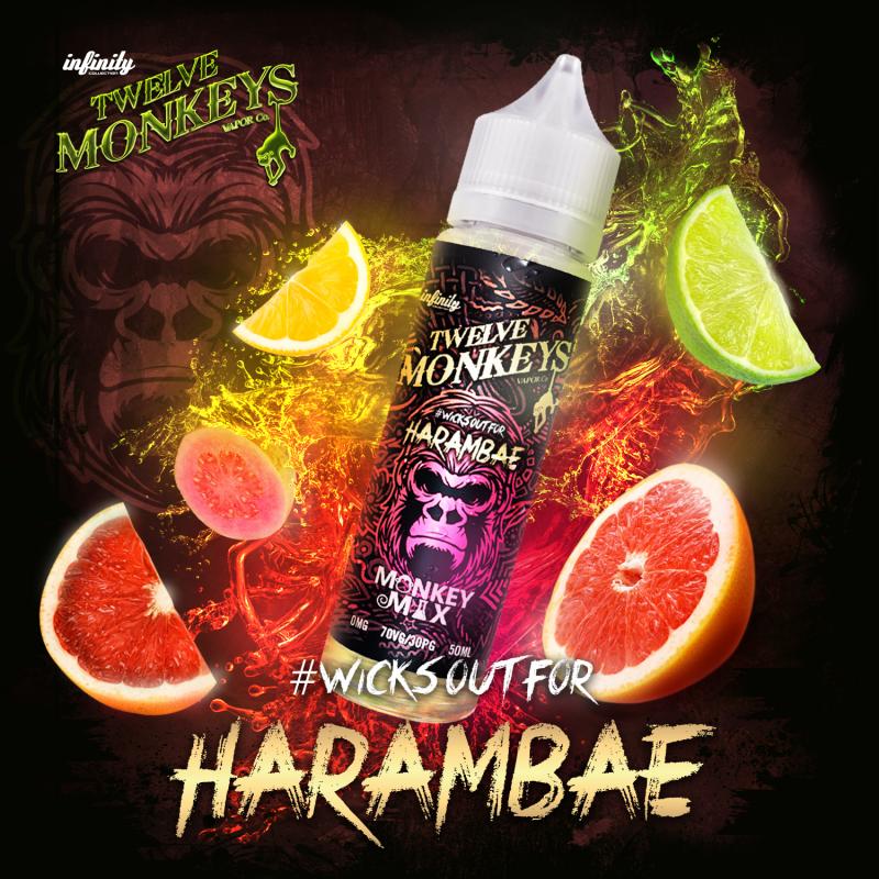 12 Monkeys​ | Harambae