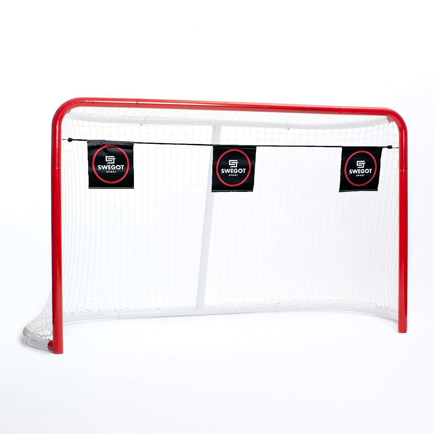 Eishockey Tor mit Fangnetz