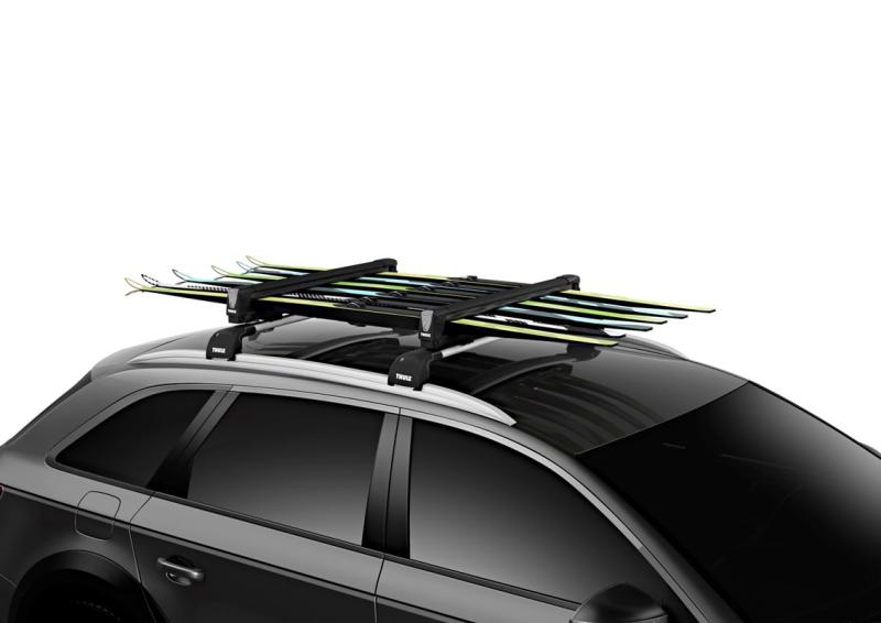 Thule SnowPack L Black