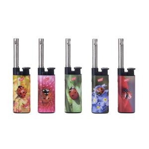 Minibras Prof Ladybugs 25-p