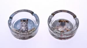 Askfat Glas Rund "RachelHale" 9cm 6-p