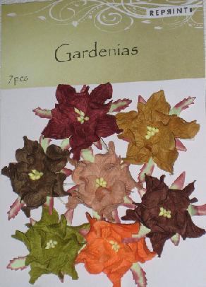 R - Gardenia höst
