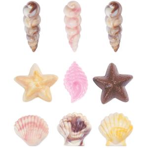 3D Chokladform - Seashells
