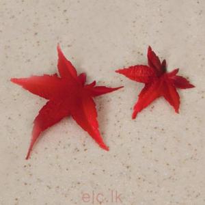 Utstickare - Lönnlöv