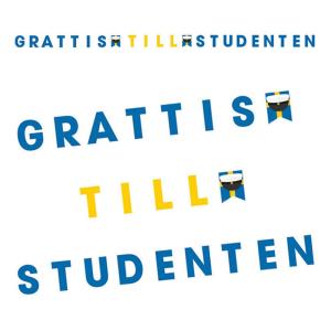 Vimplar - Grattis till Studenten