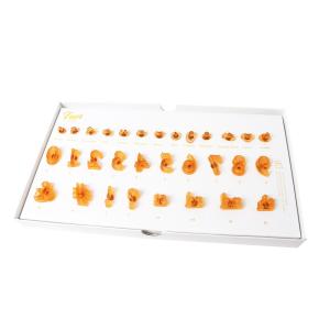 PME Fun Fonts - Siffror & Tecken Nr 2