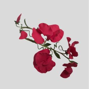 Utstickare - Luktärt