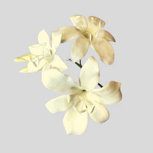 Utstickare - Bridal Lily