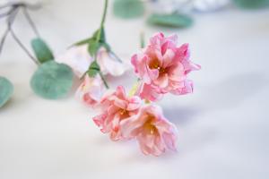 Sugarflower - Fyllningsblommor Vår 2 dagar