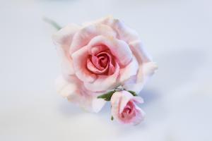 Sugarflower - Fyllningsblommor Vår 2 dagar