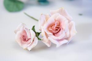 Sugarflowers för Nybörjare