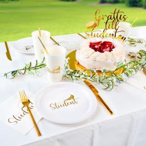 Pappersassietter - Student Guld