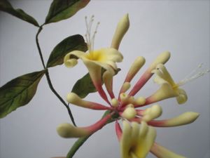 Sugarflower - Fyllningsblommor Höst 2 dagar