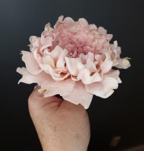 Sugarflowers Kurs - Pion