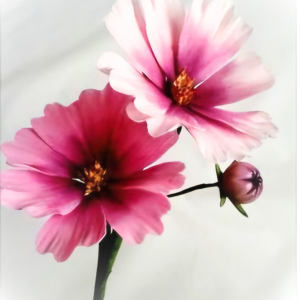 Sugarflowers för Nybörjare