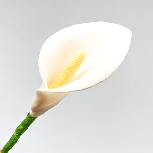 Utstickare - Kalla Lilja