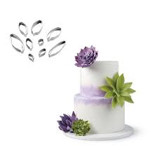 Utstickare - Succulenter