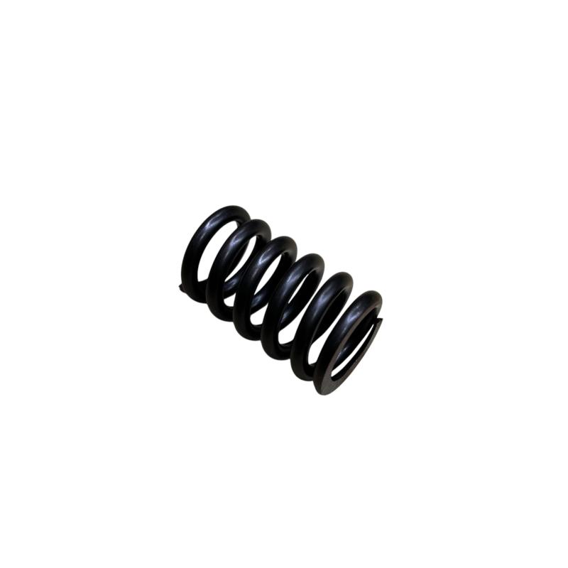 Valve spring