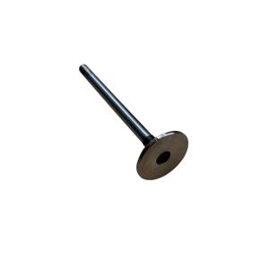 Exhaust valve