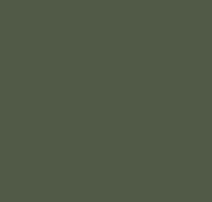 Spray paint olive green