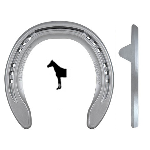 Triumph Aluminium Fram med Quarterkappor