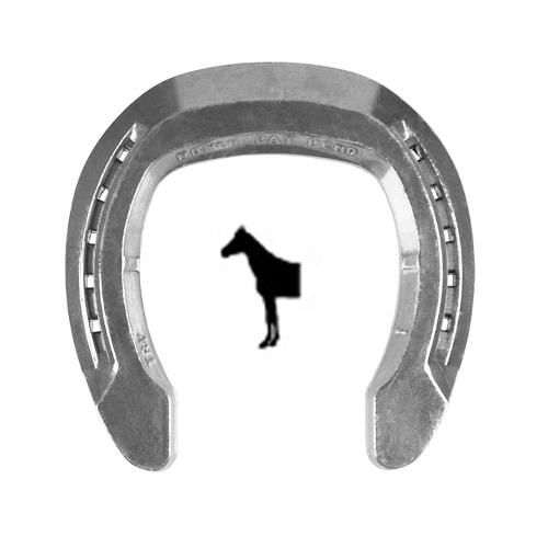 Balancesko Leverage Reduction Aluminium Front