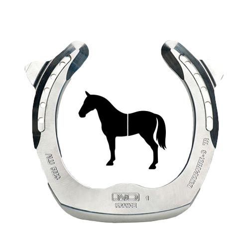 Bonapartix S Trotteur Aluminium Front/Bag