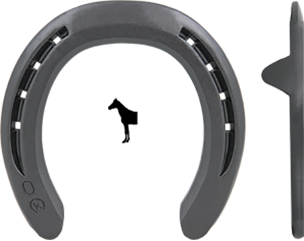 DF Quarter Motion Front
