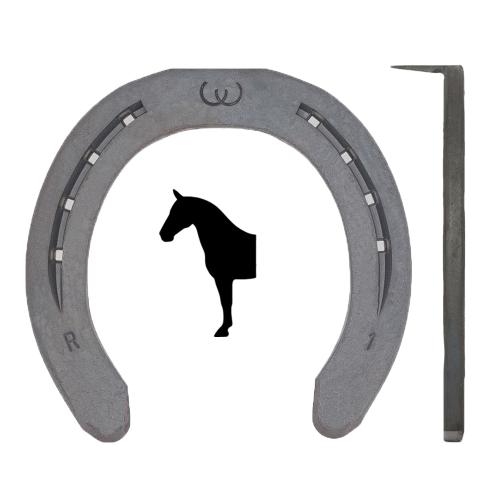 Euroskill Fram med Tåkappa