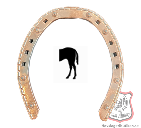 Guldskon Vinter med Brodd Bag med Frontoptå