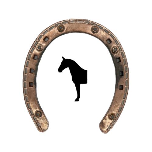 Guldskon Vinter med Brodd Fram med Tåkappa