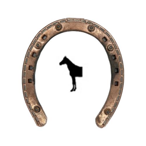 Guldskon Vinter med Brodd Front med Frontoptå