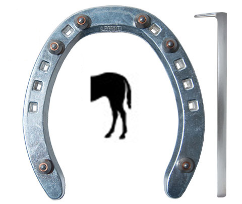 Legend Flat Vinter Aluminium med Brodder Bag med Frontoptå Hel Kasse